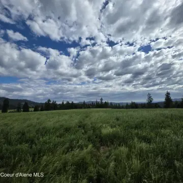 Partially Treed Pasture Land