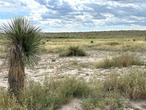 Rural Corner Home Lot