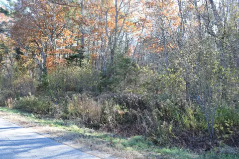 Level Wooded Lot For Sale