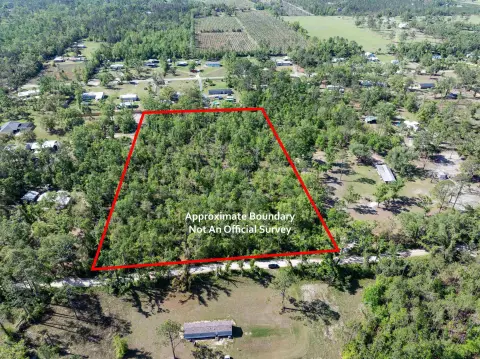 Undeveloped Land Near Perry, Florida
