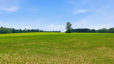 Cleared Equestrian Farmland Tract