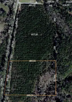 14.2 Acres of North Florida Land