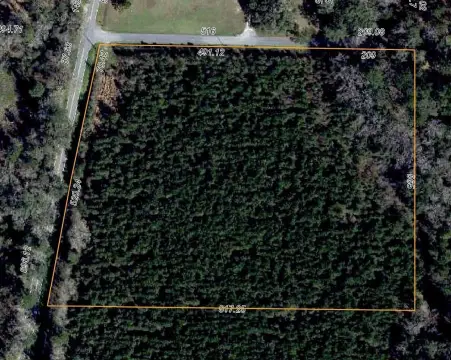 Tallahassee Land with Planted Pines