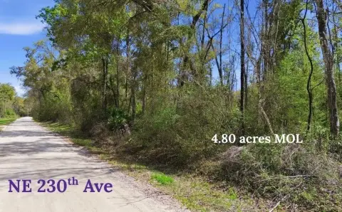 Wooded Land in Old Town