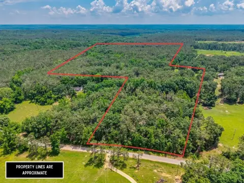 Recreational Timber Land with Homesite Potential