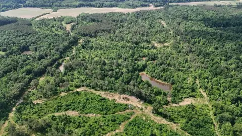 Recreational Hunting Tract with Ponds
