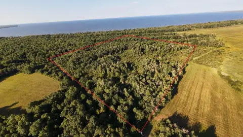 Wooded Hunting Land with Shacks