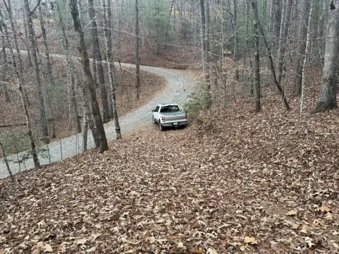 Wooded Building Lot in Murphy