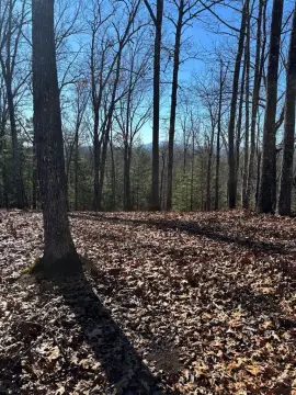 Land Bordering US Forest Service