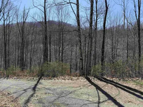 Wooded Land Near Recreation