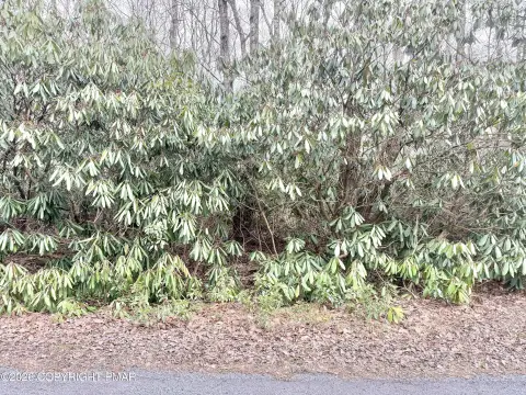 Residential Land in Jim Thorpe