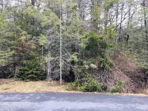 Pocono Lake Building Lot