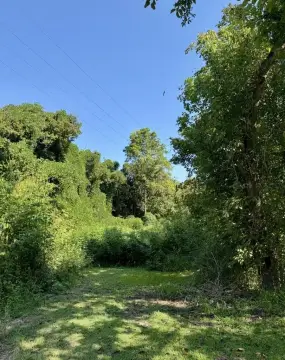 Wooded Land Parcel