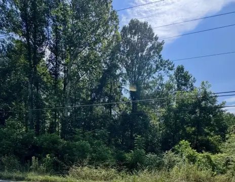 Wooded Land Tract