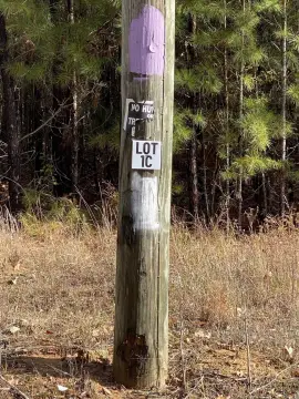 10-Acre Wooded Lot on Hwy