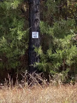 10-Acre Wooded Lot on Hwy 89