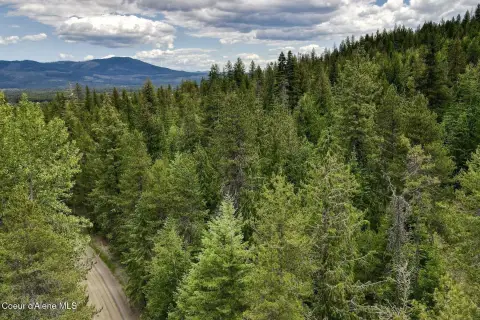 Ag/Forestry Mountain View Land Parcel