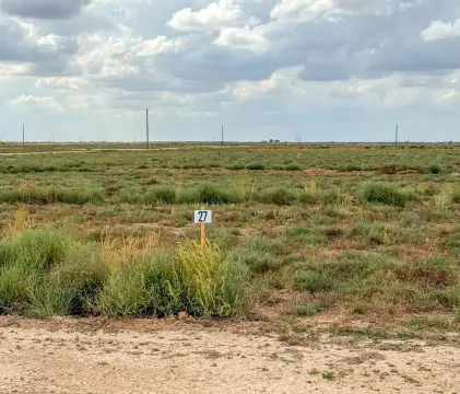Residential Lot in Seminole, TX