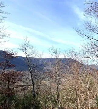 Mountain View Lot in Marion