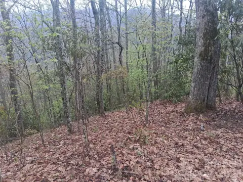 Maggie Valley Land For Sale