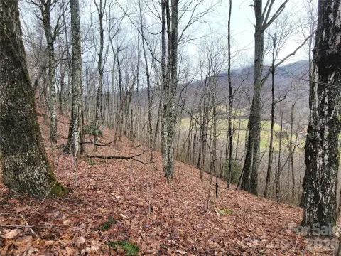 Waynesville Homesite in Gated Community