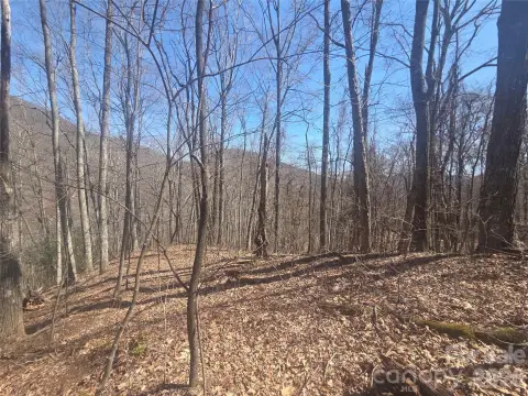 Waynesville Homesite in Gated Community