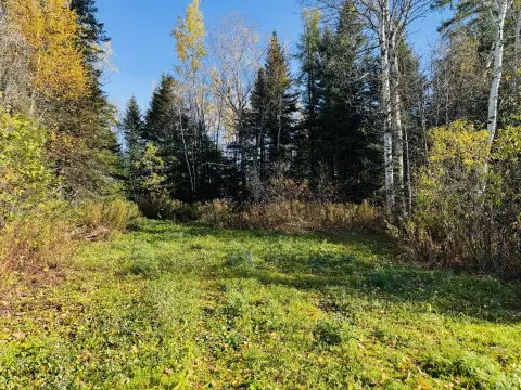 Mapleton, ME - 5 Acre Land