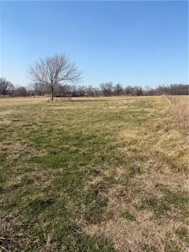 19 Acres of Open Ground