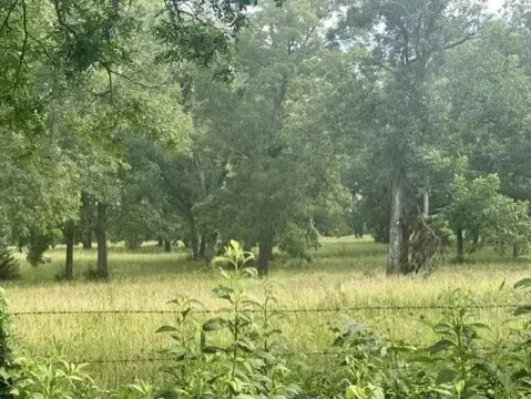 Agricultural Farmland with Timber and Pecan