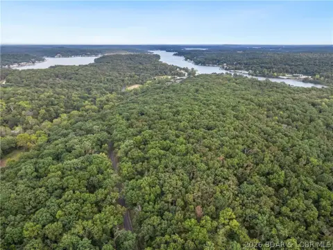 Wooded Hunting Land
