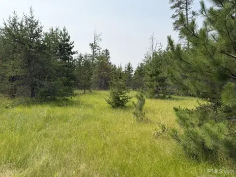 Commercial Land Parcel