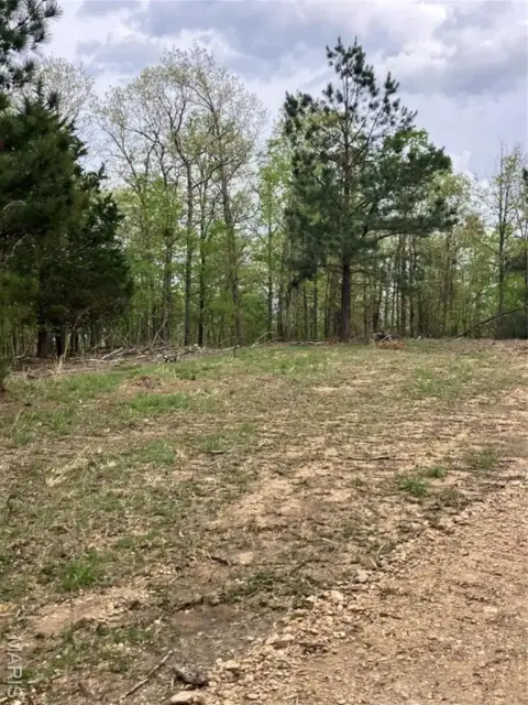 Wooded Acreage Near National Forest