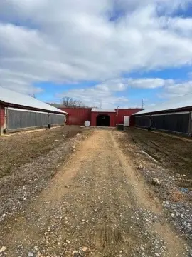 Palmersville Income-Producing Poultry Farm