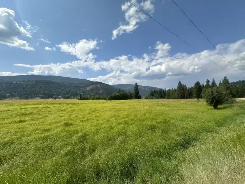 37.25 Acres with Cabin, Colville