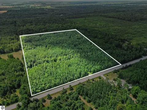 Vacant Hunting Land with Mature Woods