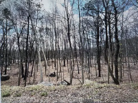 Residential Land in Effort, PA