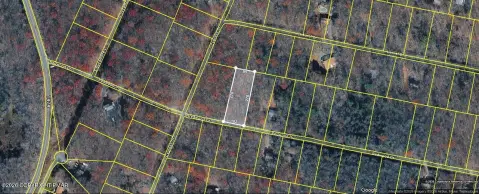 Wooded Lot in Hickory Run