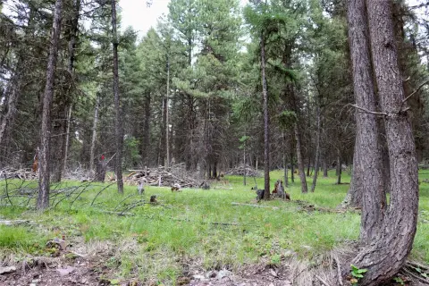 Gentle-Slope Residential Recreation Lot