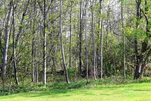 Ogdensburg, NY Building Lot