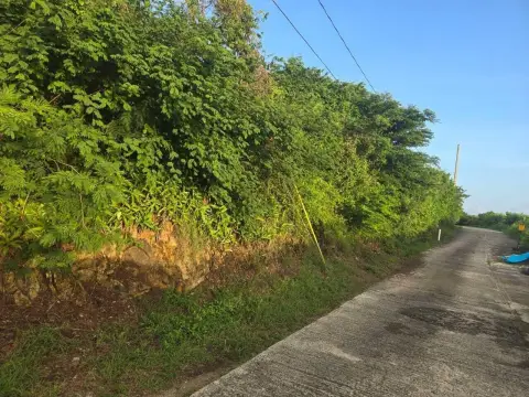 Buildable Lot in Bolongo Hills
