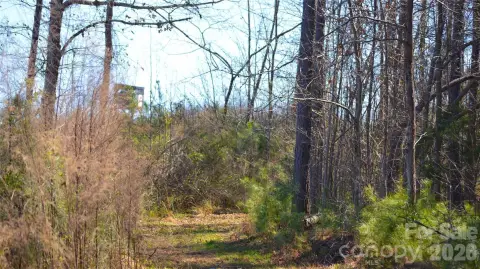 Residential Land in Jonesville, SC