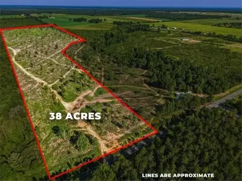 Undeveloped Farmland with Homesites