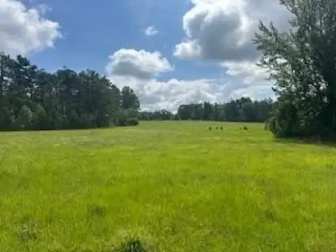 Land with Ponds and Pasture
