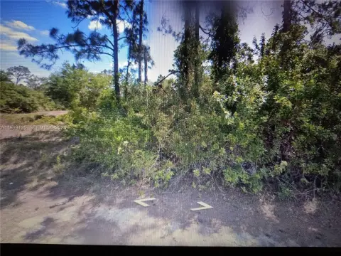 Residential Land in Lehigh Acres