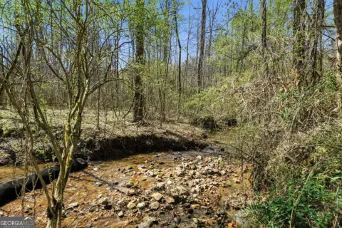 Canton Land with Creek Frontage
