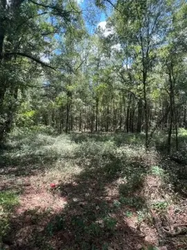 Commercial Land with Highway Frontage