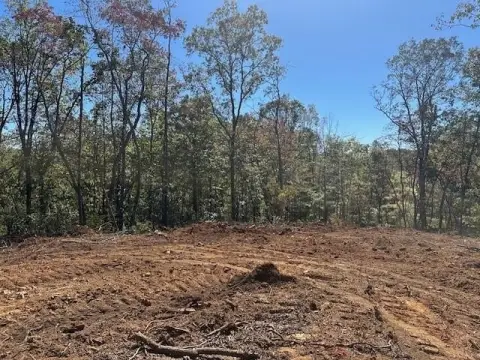 Dawsonville Land with Ridge Homesite