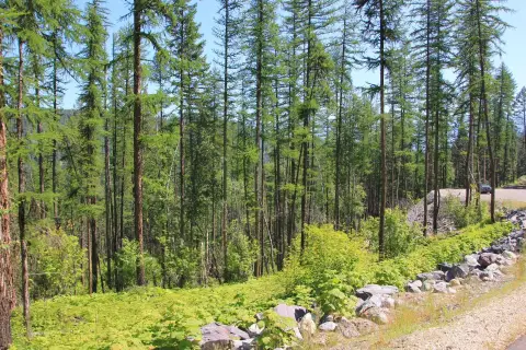 Residential Community Home Lot