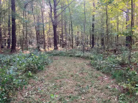 10 Acre Parcel with Creek