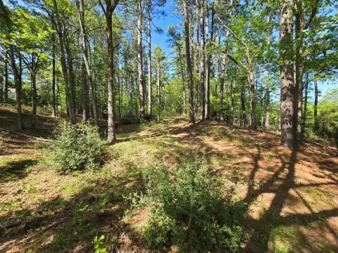 2.6 Acre Residential Lot